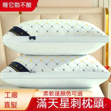 48H⚡在臺出⚡【4.6萬人收藏】溪爾盾刺繡枕頭五星級一衹酒店單人水洗學生一對成人家用絲絨枕芯 90YE