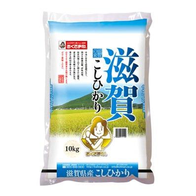 精米 滋賀県産 白米 コシヒカリ 10kg