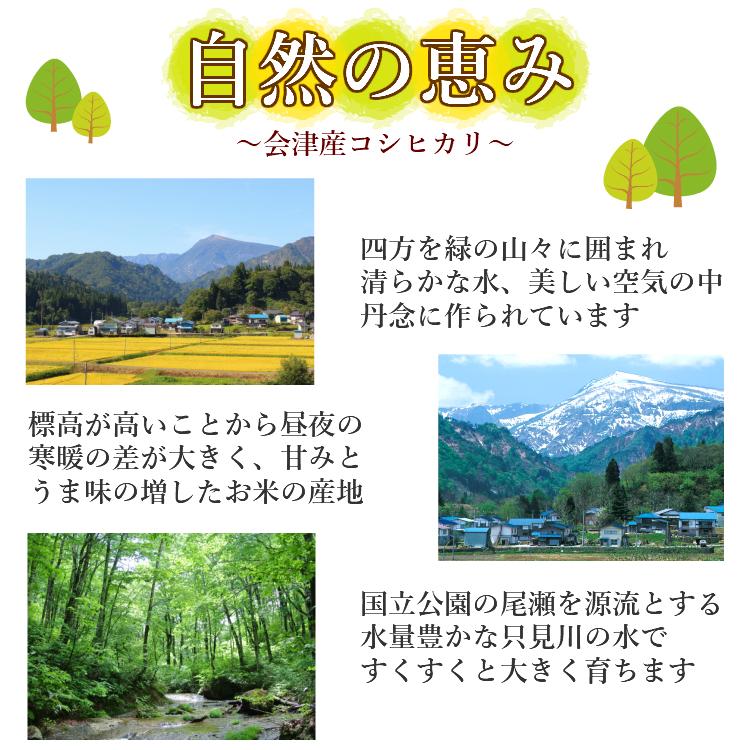 お米 コシヒカリ 精白米 5kg 会津産 送料無料 令和5年産 2023年産 こしひかり 米 こめ 精米