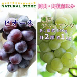   ピオーネ 瀬戸ジャイアンツ 各1房 計約1kg 500g 食べ比べ 岡山・山梨県産ほか ぶどう  夏ギフト 御中元 お中元