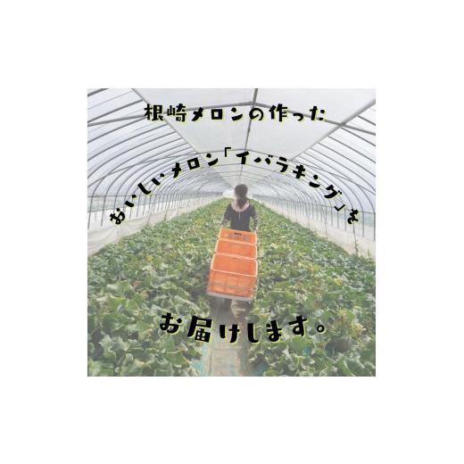 ふるさと納税 茨城県 鉾田市 イバラキングメロン（大）1玉（約1.6kg以上）