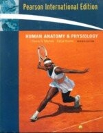 HUMAN ANATOMY & PHYSIOLOGY (7版) Marieb 2006 Pearson