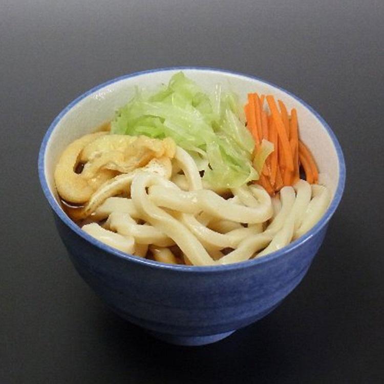 山梨 創業明治35年「平井屋」 吉田のうどん (2人前)×5 うどん お取り寄せグルメ ギフト プレゼント お中元