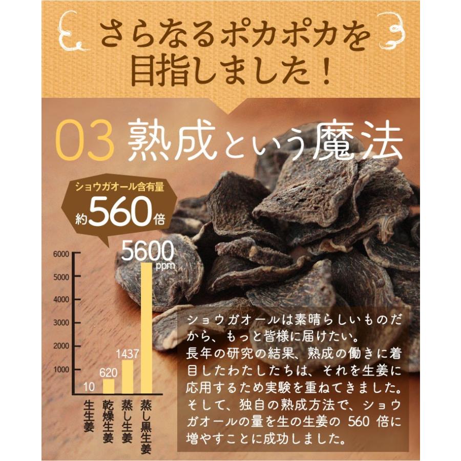 おうち時間 おうちごはん 選べる生姜パウダー 鹿児島県産100% 黒蒸し生姜 ウルトラ蒸し生姜 ウルトラ生姜 黒 生姜 生姜紅茶 生姜湯