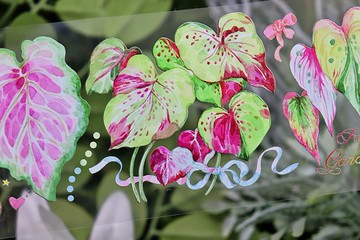 整卷 OKMT新七天原創流麻咕卡貼紙PET手帳手賬膠帶貝殼光彩芋幽夢