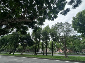 專任約台大校園電梯高樓三房(教大實小/金華學區)｜台北市大安區辛亥路二段