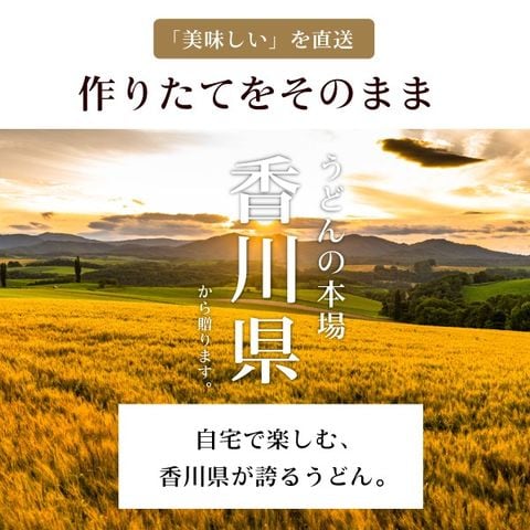 送料無料 本場生讃岐うどん 専用醤油付セット  6人前 (300g×2袋) ポイント消化 お試し