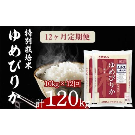 ふるさと納税 日経トレンディ「米のヒット甲子園」大賞受賞『特栽米ゆめぴりか5kg×2袋』定期便！毎月1回・計12回お届け 北海道奈井江町