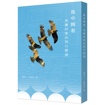 風中舞者：老鷹四季的飛行圖譜