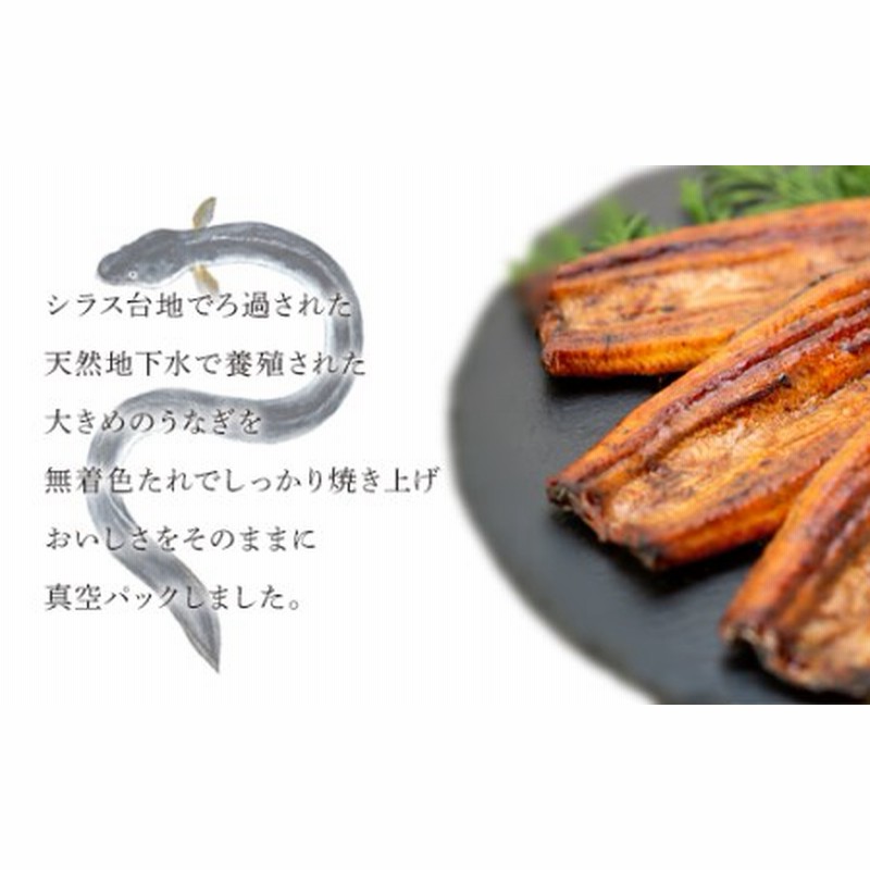 多様な ふるさと納税 数量限定 鹿児島県産うなぎ長蒲焼6尾 約100g×6尾 鹿児島県大崎町