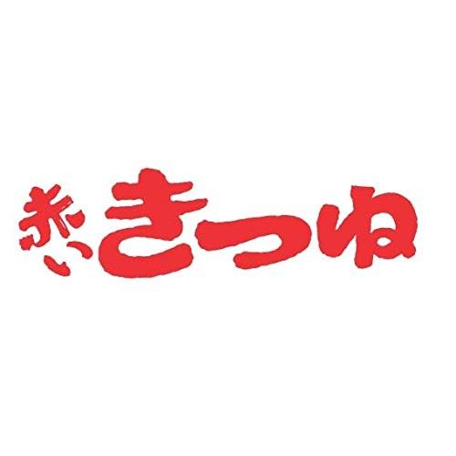 マルちゃん 赤いきつねうどん(東) 96g×12個 ケース販売