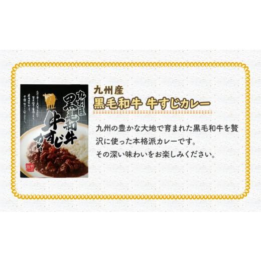 ふるさと納税 福岡県 飯塚市 九州のカレーセット(レトルトカレー5食入り)