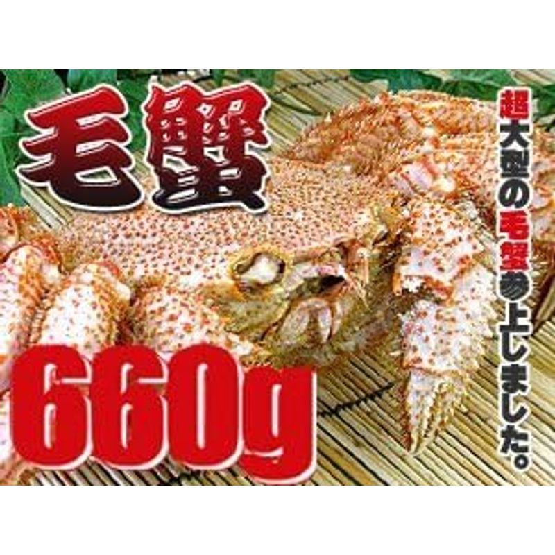 ボイル毛がに 660g (冷凍毛ガニ) 蟹味噌