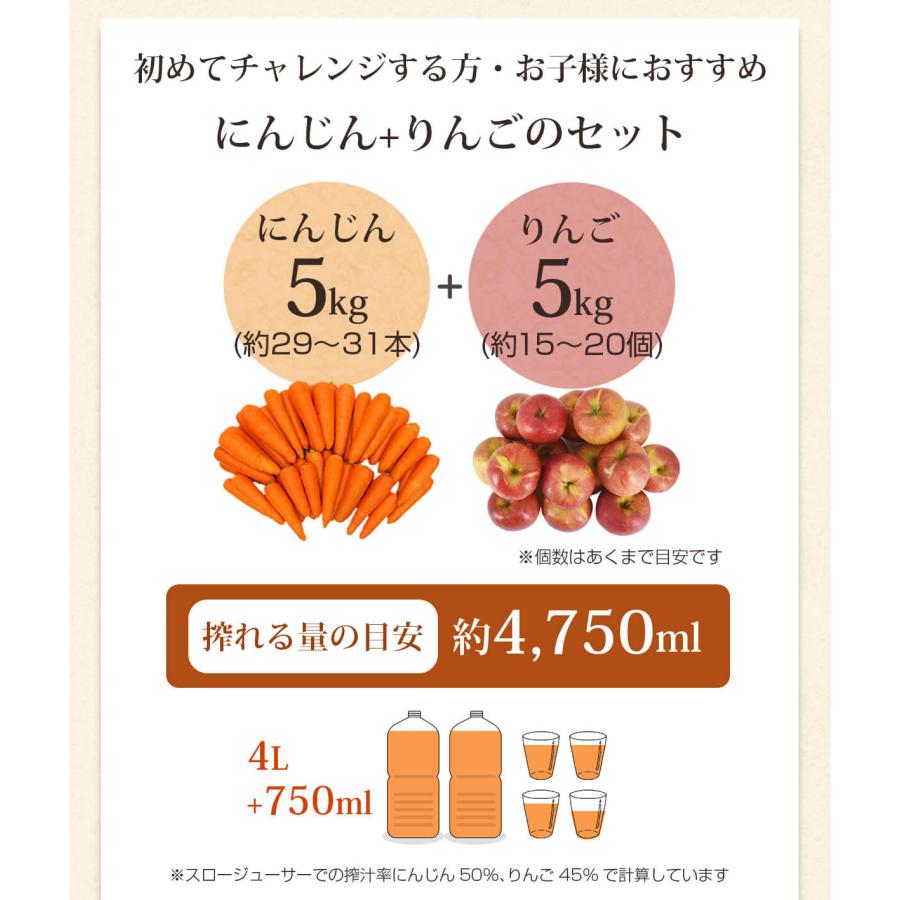 人参 無農薬にんじん 野菜セット 無農薬野菜 にんじんジュース ジュース用  にんじん5kg＋りんご5kg ゲルソン療法にも最適 訳あり