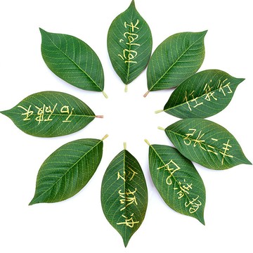 仿真樹葉 假樹葉 寫字簽名簽到仿真假樹葉單片塑料小綠葉子婚禮活動策劃簽名假綠葉