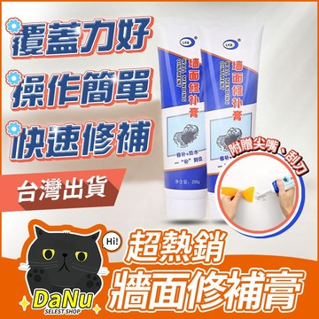【台灣現貨】牆壁補牆膏 牆面修補膏 牆面修補 防水修補劑 壁癌修補 牆壁修補 牆面破損 補土 補漆膏 裂縫坑洞