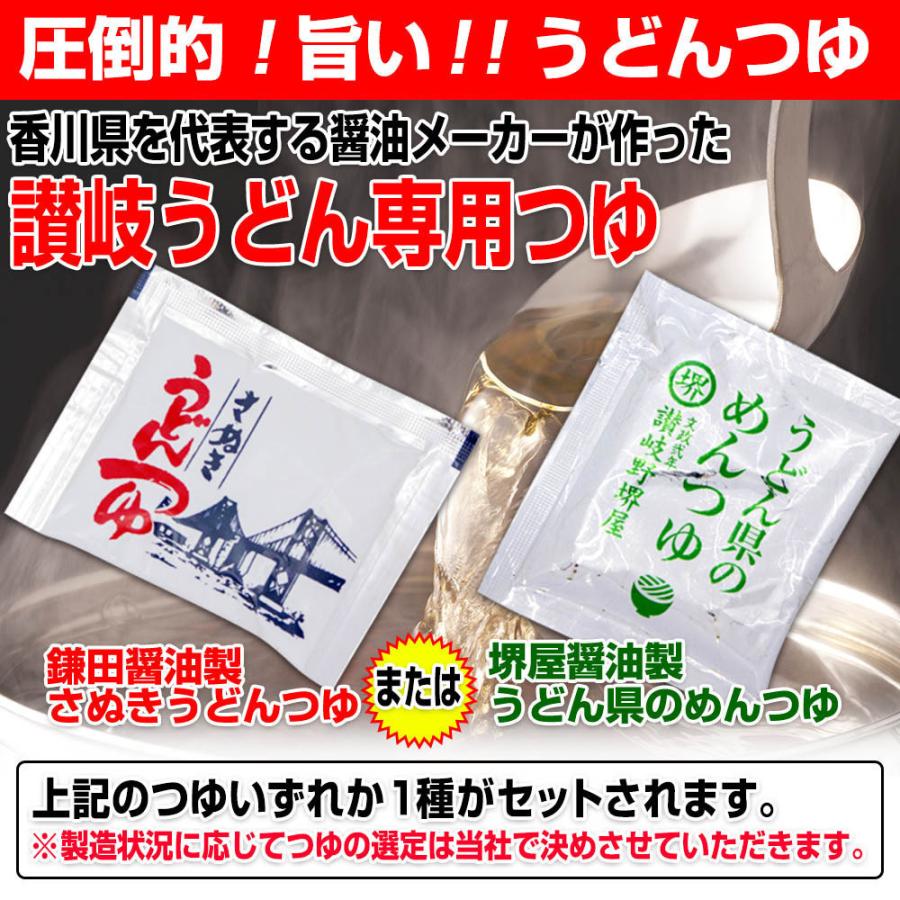 20時間熟成  半生 極太 讃岐うどん つゆ付きセット 便利な個包装 750g 送料無料 最安値挑戦 得トクセール 特産品