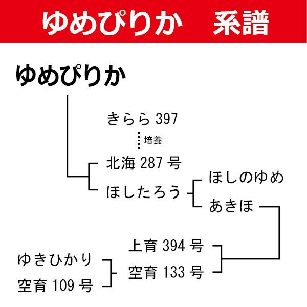 ブランド協議会認証品 ゆめぴりか 10kg（5kg×2袋）米 お米 お米 10kg 白米 送料無料 令和5年産 北海道産 米10kg 米 10kg お米 10kg[真空パック対応]