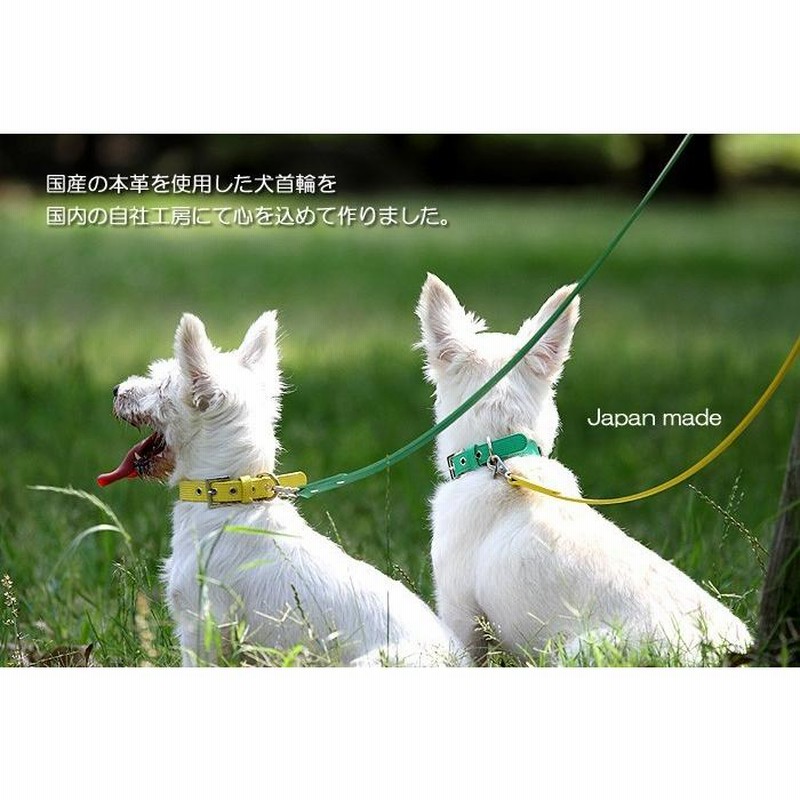 犬 首輪 犬首輪 犬の首輪 おしゃれ かわいい ブランド 迷子札 中型犬 小型犬 小型犬用 超小型犬 いぬ くびわ 革 レザー 皮 軽い 柴犬 チワワ Ot M2 通販 Lineポイント最大get Lineショッピング