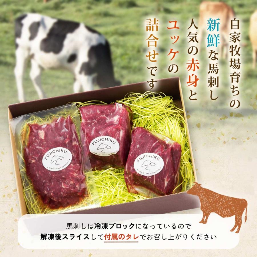 [フジチク] ギフト ふじ馬刺し詰合せ上赤身100g×2 ユッケ50g  馬肉 詰め合わせ 旨み ギフト セット 贈り物 お中元 お歳暮 新年の挨拶 お祝い プレゼント