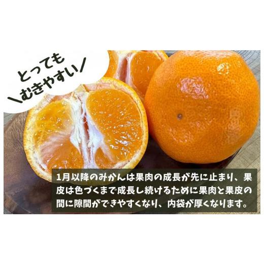 ふるさと納税 和歌山県 有田川町 熟成みかん Lサイズ 秀品 10kg 内容量 9.2kg )箱込 玉ぞろい 有田みかん 和歌山県産 産地直送 贈答用  