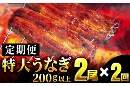 特大！！ふっくら肉厚！！特選うなぎ2尾を2回お届け♪YS0003