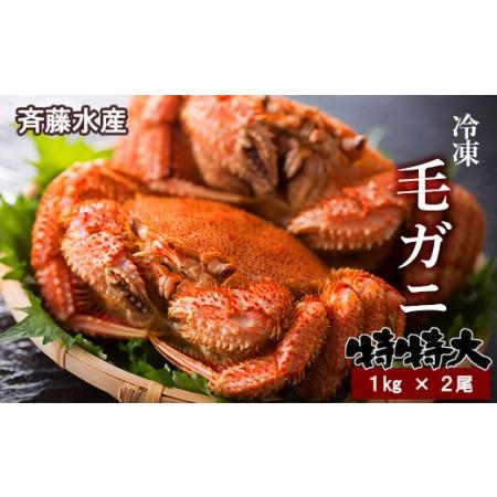 ふるさと納税 特特大サイズ！冷凍毛がに約1kg×2尾  北海道白老町