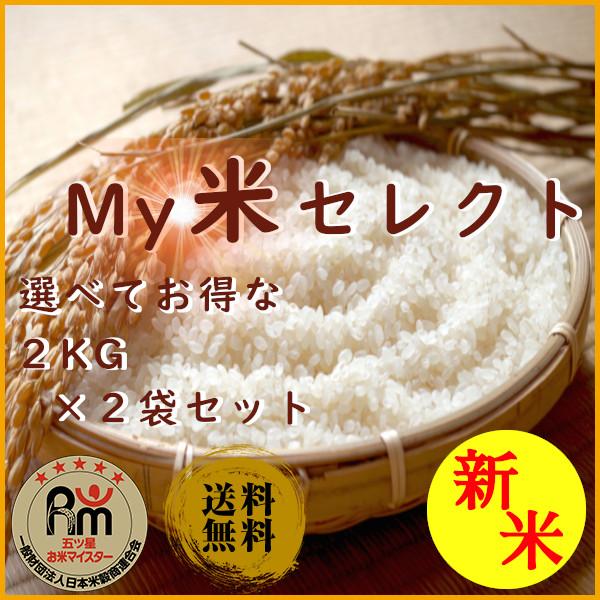 新米 令和５年産 お米 ４ｋｇ ２ｋｇ 送料無料 選べる 組み合わせ 白米 ２ｋｇ×２袋 茨城県 産直 五ツ星お米マイスター厳選米