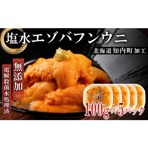 ふるさと納税 北海道 知内町 ☆知内町加工☆塩水エゾバフンウニ 贅沢１００g×５パックセット