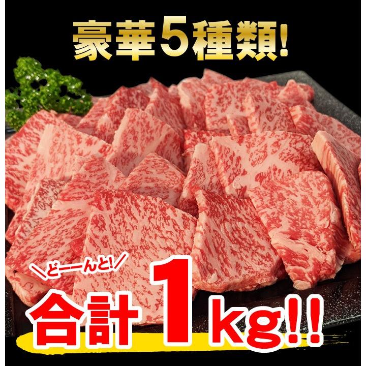 焼肉 食べ比べ 最高級 黒毛和牛 店長厳選 おまかせ焼肉セット 1kg 5種類入り バーベキュー 肉 セット 福袋 BBQ メガ盛り