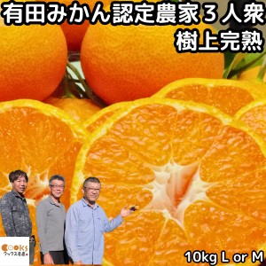 みかん 有田 甘い 糖度 送料無料 和歌山 fromありだ 樹上完熟 早生 有田みかん 10kg l or m サイズ お歳暮 贈答用 贈答品 ギフト 箱 買い