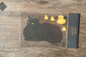 黑貓最幽默了//黑貓與黃色小鴨生活裡處處是貓。韓國藝術家創作