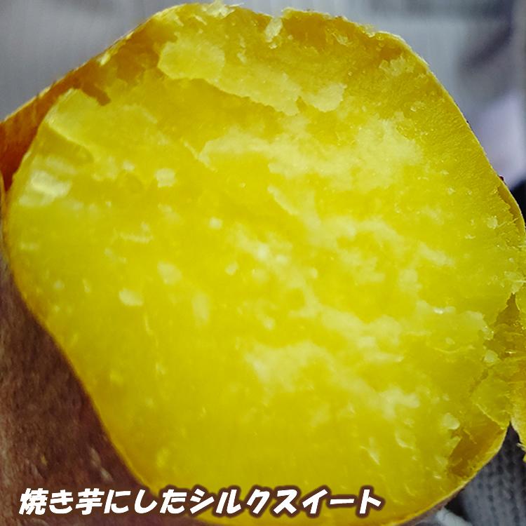 熟成　鹿児島県産さつまいも　シルクスイート 10kg