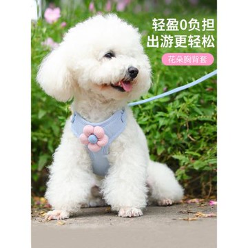 狗狗牽引繩背心式小型犬泰迪比熊博美遛狗繩幼狗鏈子小貓咪胸背帶
