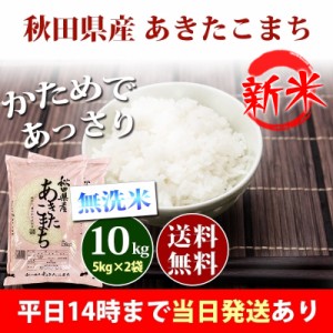 新米 米 無洗米 10kg 秋田県産 あきたこまち 5kg×2袋 令和5年産 お米 10kg 送料無料 北海道・沖縄配送不可 即日発送 クーポン対象 10キ