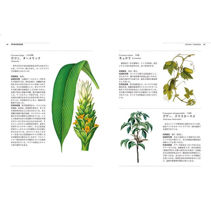 世界薬用植物図鑑 イギリス王立植物園キューガーデン版