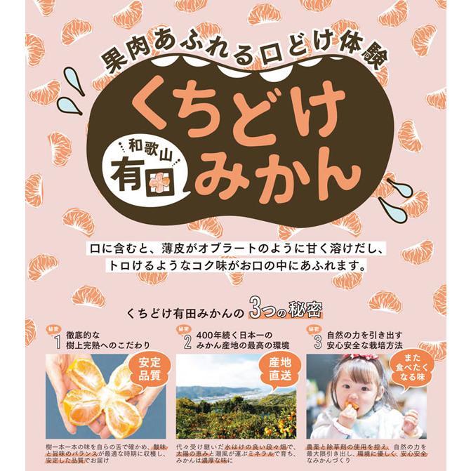 みかん 訳あり 完熟 有田みかん 5kg 訳あり 家庭用 ミカン 和歌山県 有田市産 甘い 小玉 混合 有田ミカン 蜜柑 アウトレット 送料無料　お歳暮　和歌山みかん