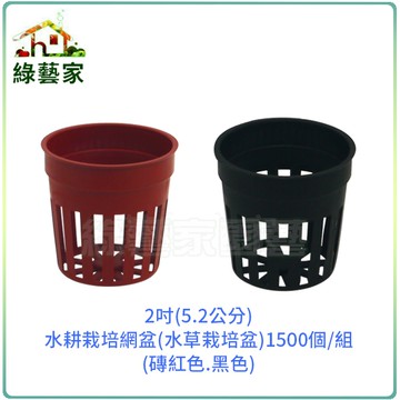 【綠藝家】2吋(5.2公分)水耕栽培網盆(水草栽培盆.定植籃.水草盆.水耕盆)1500個/組
