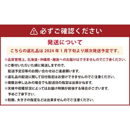 ふるさと納税 あまおう 約280g×3パック 福岡県遠賀町