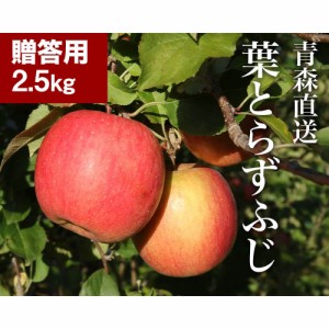 RED APPLE 青森直送 12月上旬より順次出荷葉とらずふじ 蜜入り糖度13度 贈答用 約2.5kg りんご 林檎 リンゴ 特産品 青森 贈答 プレゼント