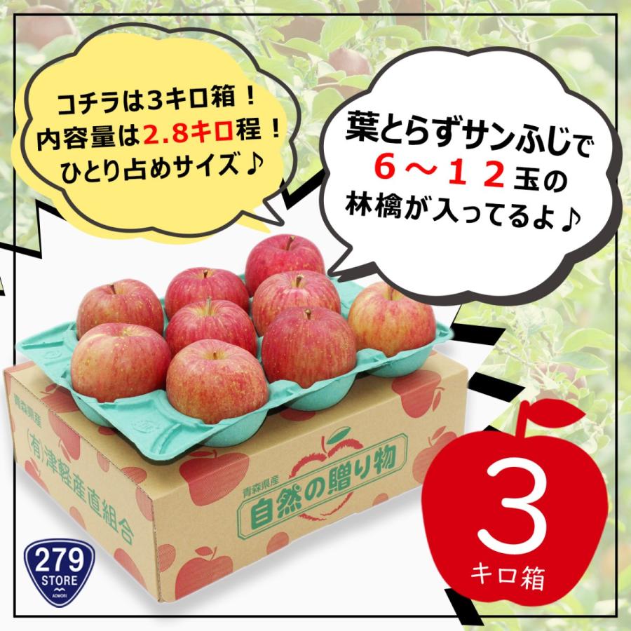 只今発送中！産地直送♪ 糖度13度以上 葉とらずサンふじ A品 3キロ箱 6〜12玉 内容量 約2.8キロ 津軽産直組合直送 津軽りんご 青森県産