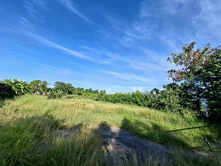 北港路區段 徵收 旁 臨路 鳥岫美農地｜嘉義市西區鳥岫段
