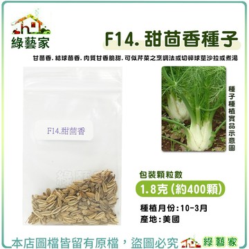 F14.甜茴香種子1.8克(約400顆) (進口種子.甘茴香.肉質甘香脆甜.可似芹菜之烹調法)香辛 辛香類【綠藝家】