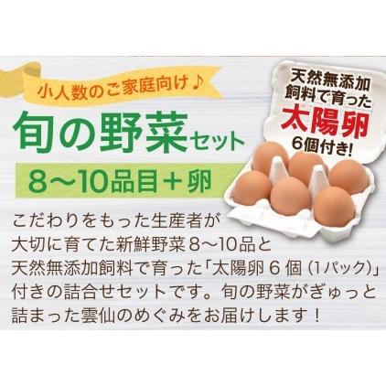 ふるさと納税 ”雲仙のめぐみ”旬の野菜セット（Ｓ） 8〜10品目セット 長崎県雲仙市