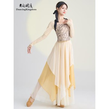 古典舞蹈服女飄逸身韻顯瘦彈力中國舞表演服紗衣練功服演出服上衣