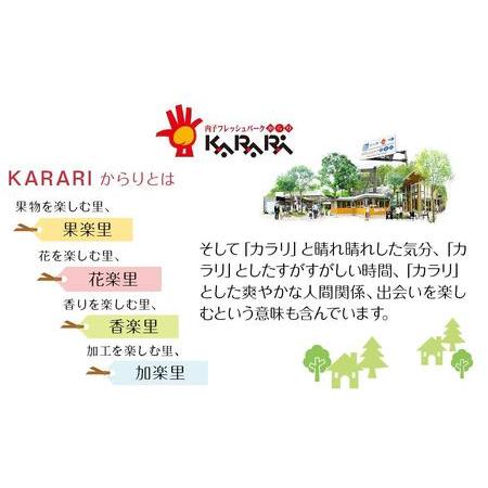 ふるさと納税 道の駅からり直送！食物繊維たっぷり！「もち麦うどんセット」 愛媛県内子町