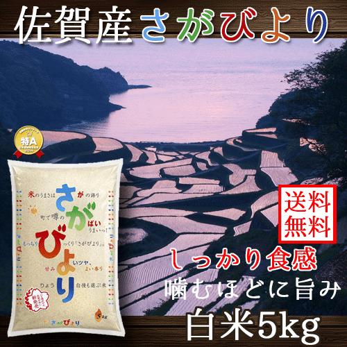 佐賀県産 さがびより 白米 5kg 送料無料 （一部地域除く）