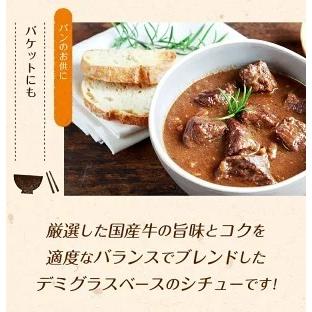 辛口ビーフシチュー 200g×3パック 辛口 送料無料 国産 牛肉 デミグラス ソース ご飯のお供 レトルト 常温保存OK 非常食 おかず [メール便]