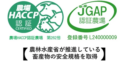 松阪牛ロース500g（月替わり）を毎月お届け　WT-19