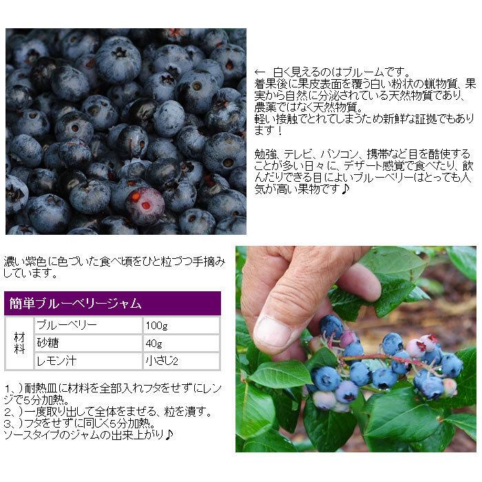 希少国産冷凍ブルーベリー１kg 山形県羽黒地区産 （沖縄・離島配送不可）